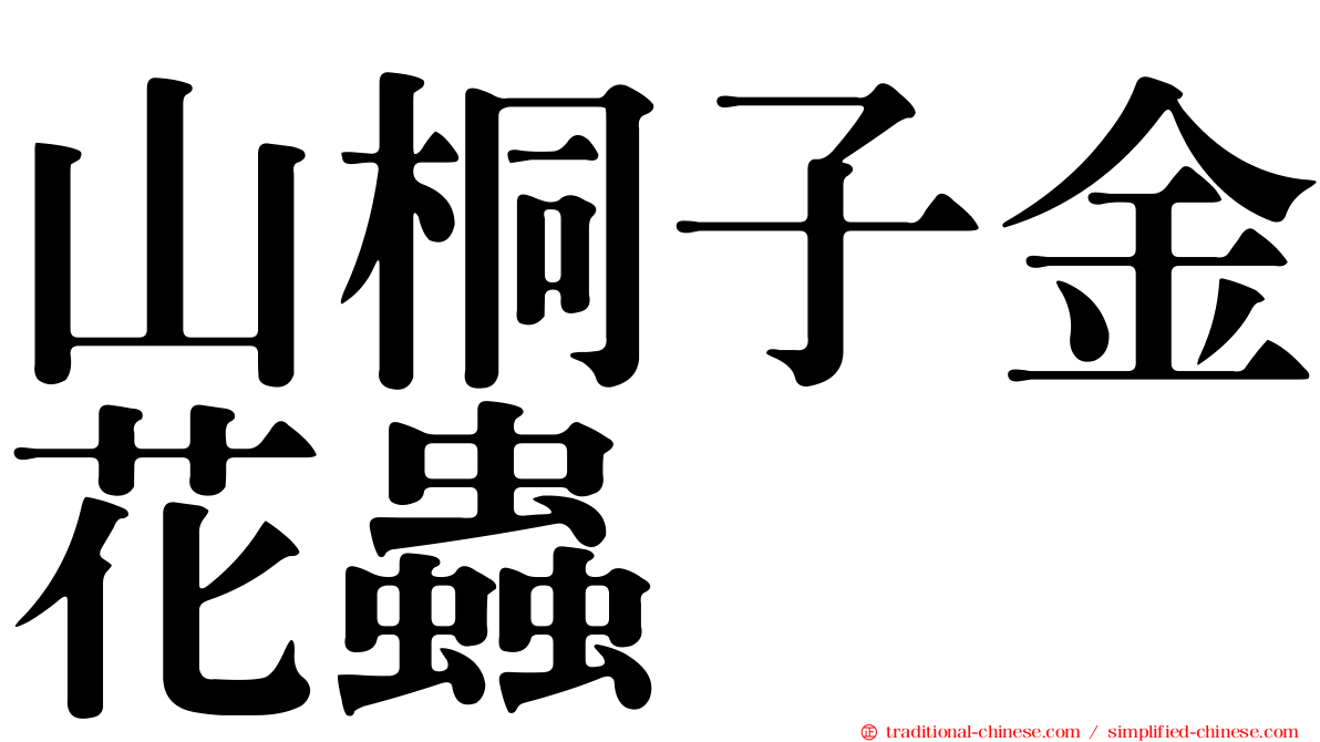 山桐子金花蟲
