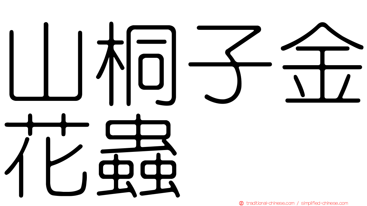 山桐子金花蟲