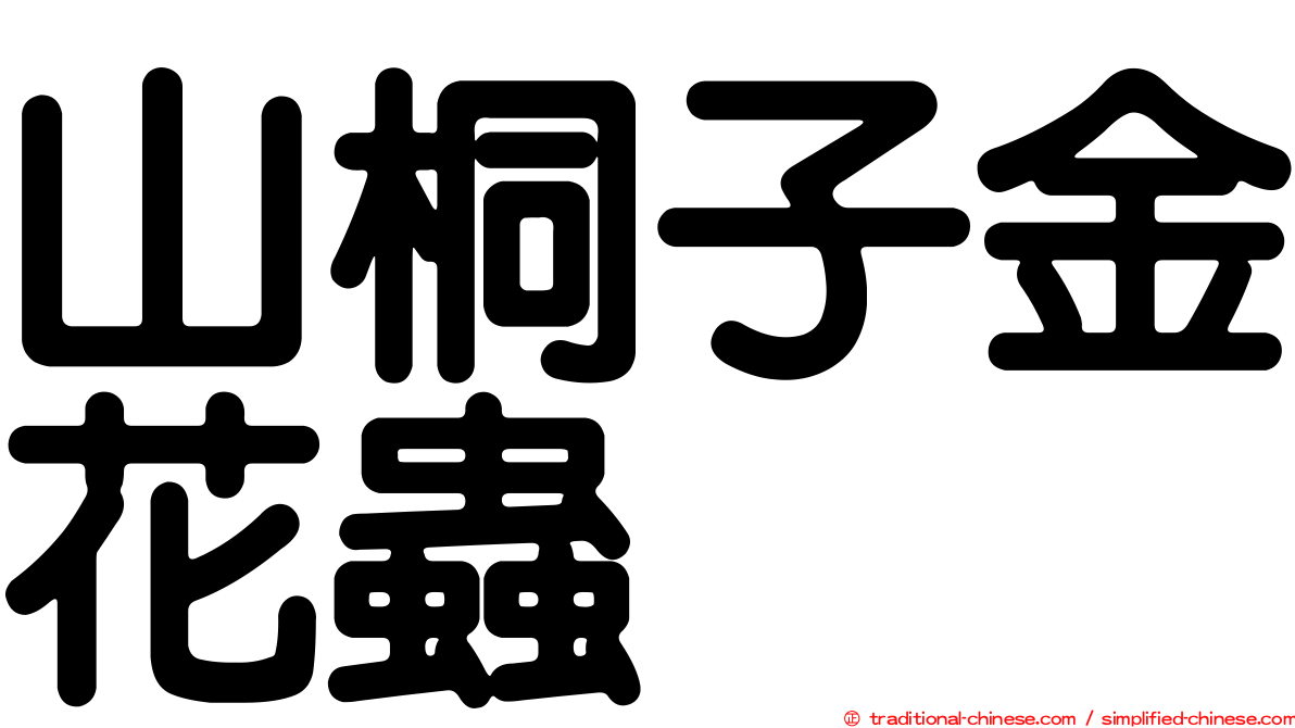 山桐子金花蟲