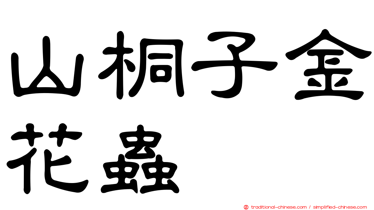 山桐子金花蟲