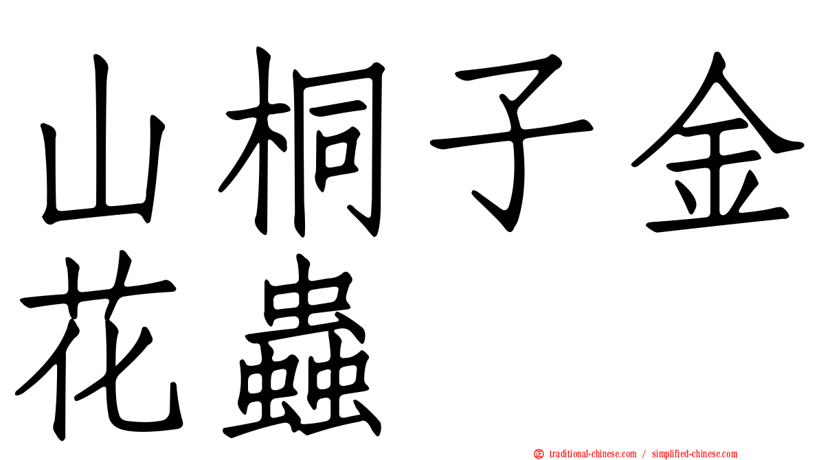 山桐子金花蟲