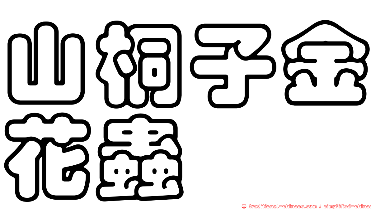 山桐子金花蟲