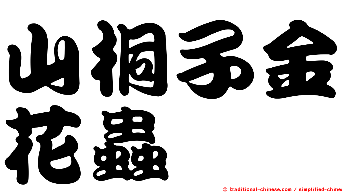 山桐子金花蟲