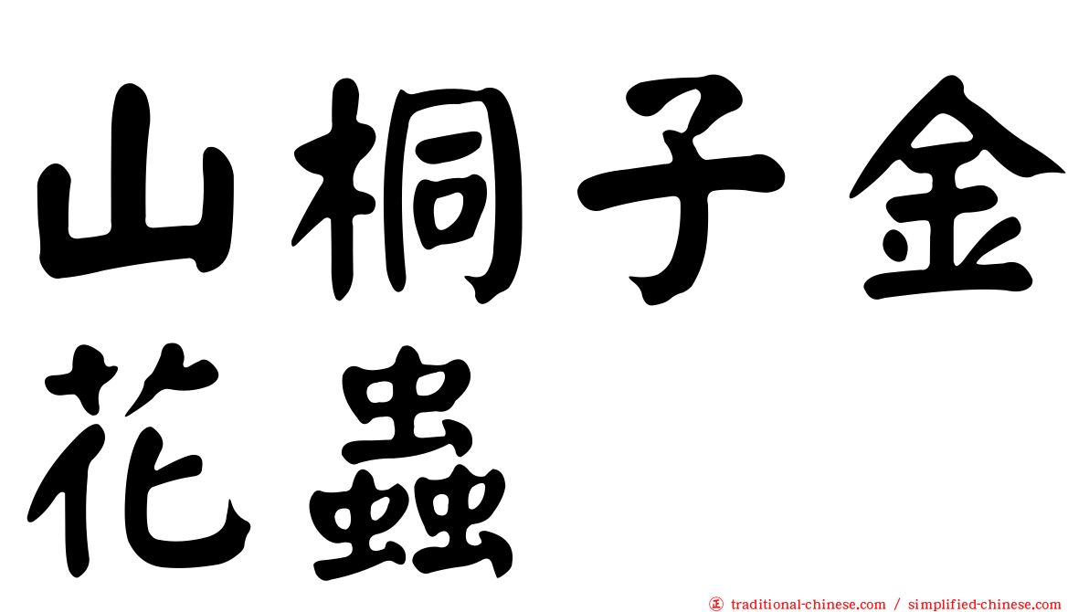 山桐子金花蟲