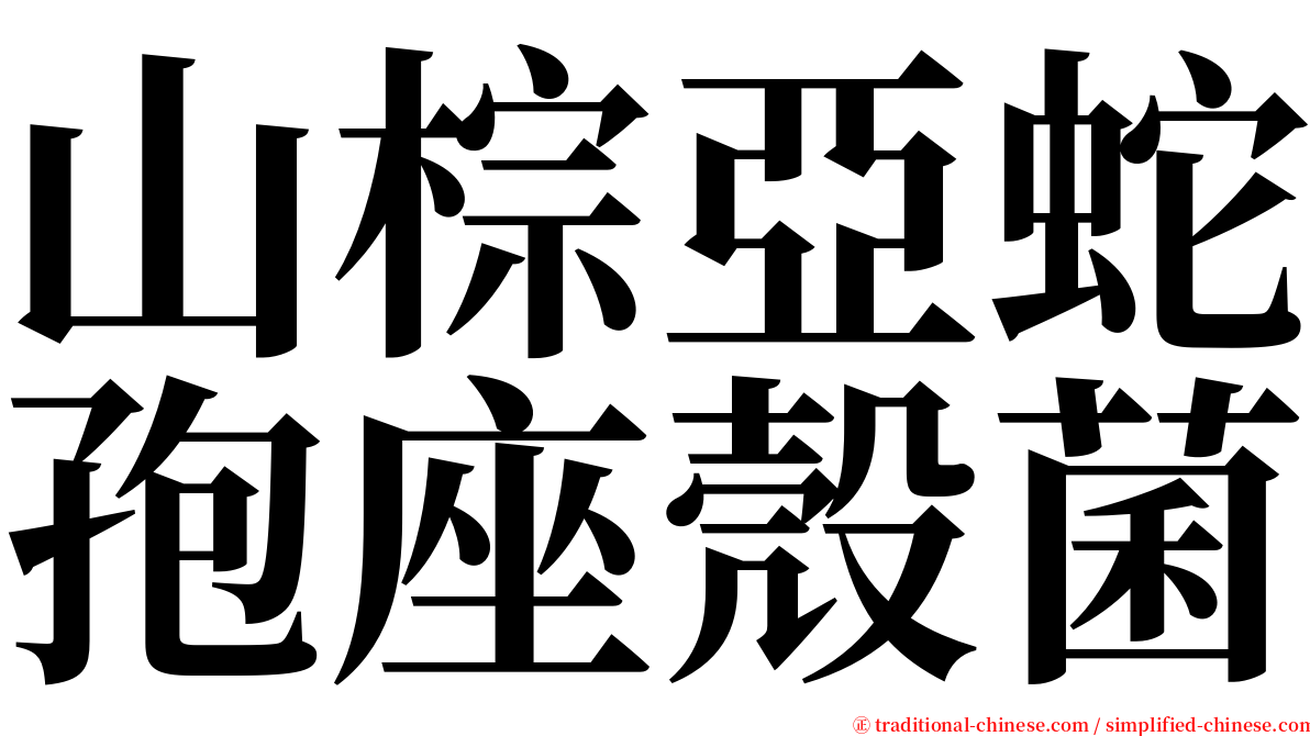 山棕亞蛇孢座殼菌 serif font