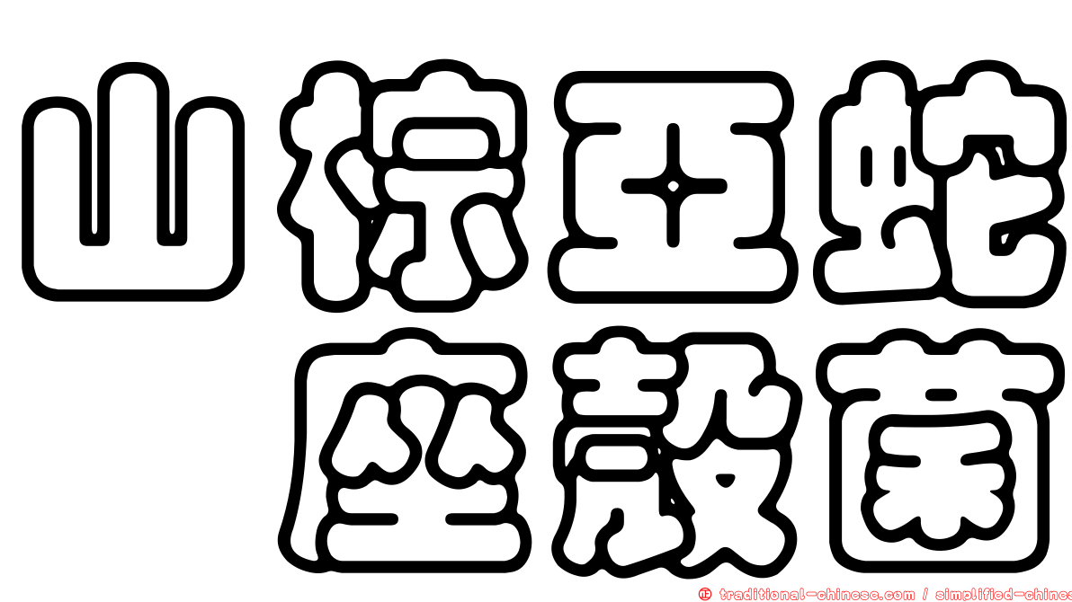 山棕亞蛇孢座殼菌