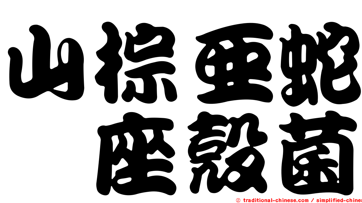 山棕亞蛇孢座殼菌