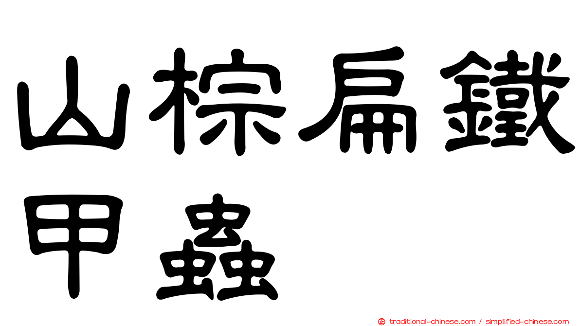 山棕扁鐵甲蟲