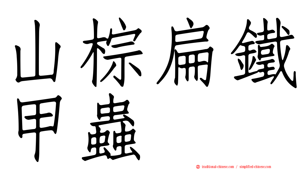 山棕扁鐵甲蟲