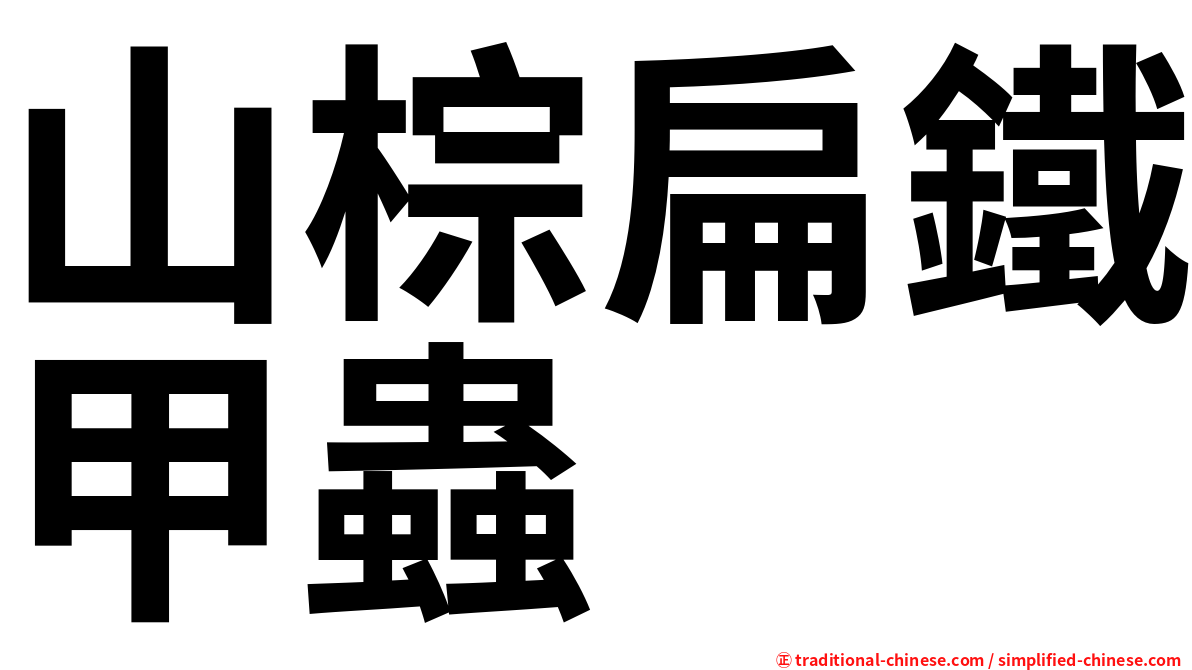 山棕扁鐵甲蟲