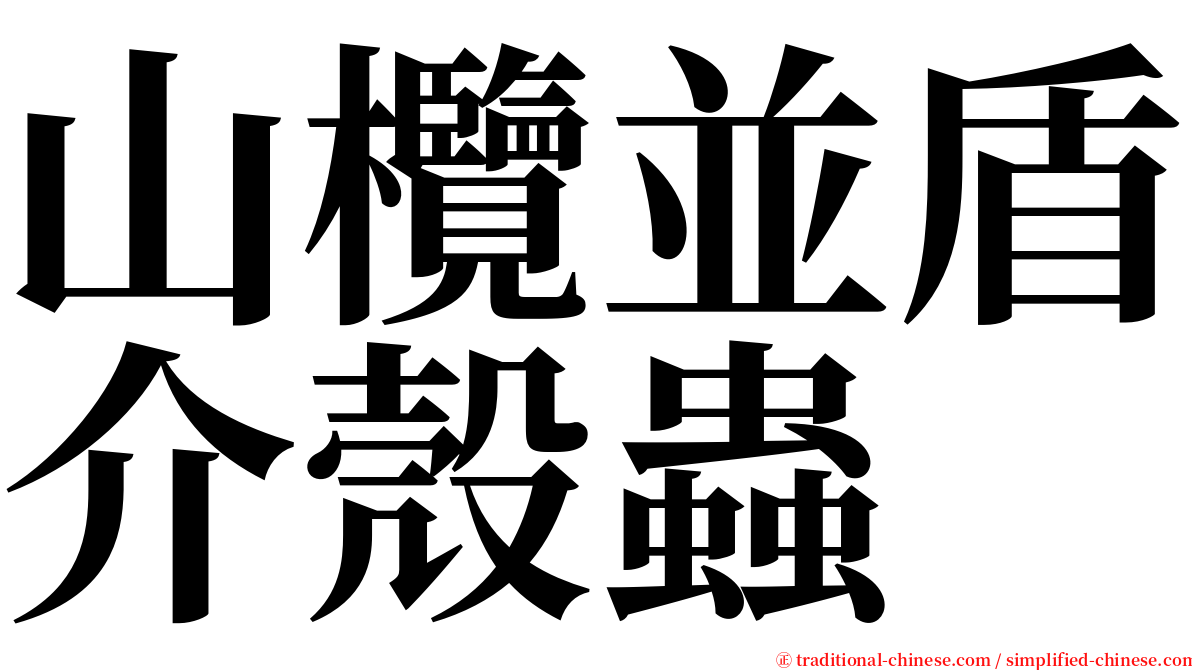 山欖並盾介殼蟲 serif font