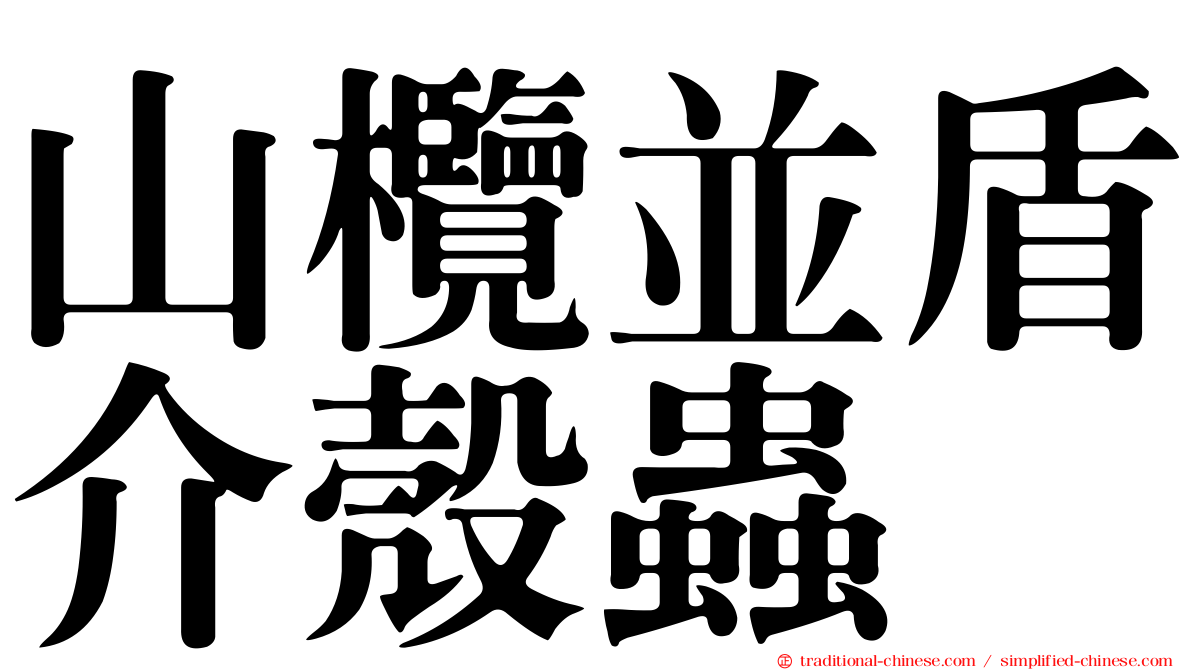 山欖並盾介殼蟲