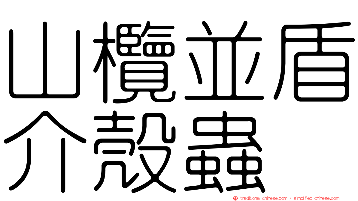 山欖並盾介殼蟲