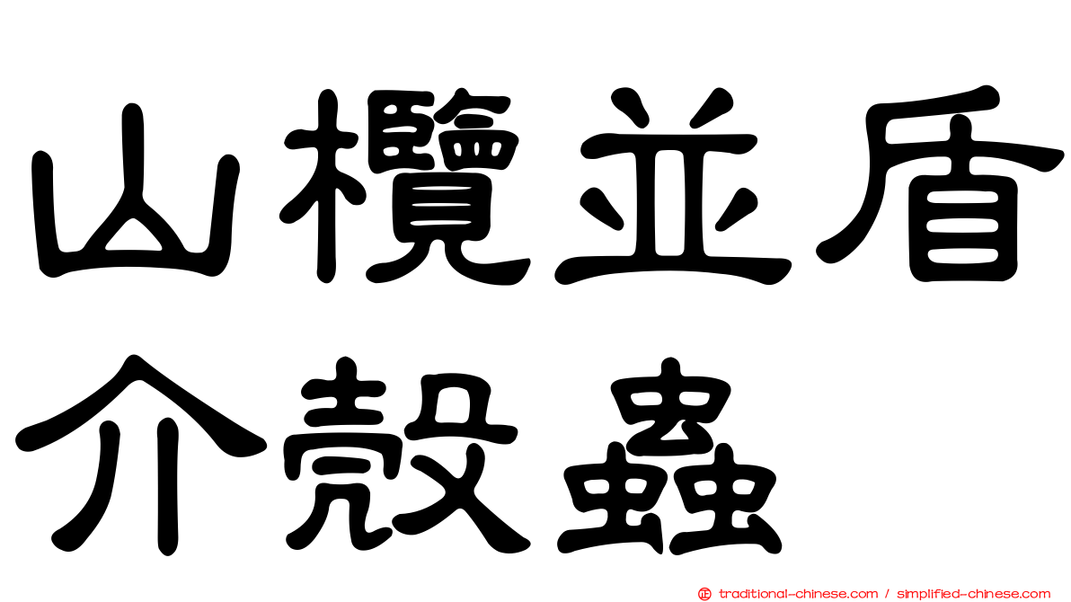 山欖並盾介殼蟲