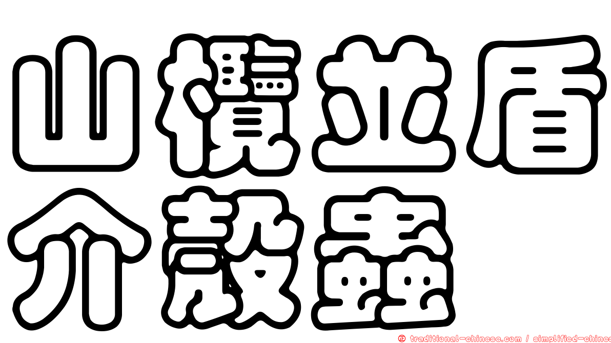 山欖並盾介殼蟲