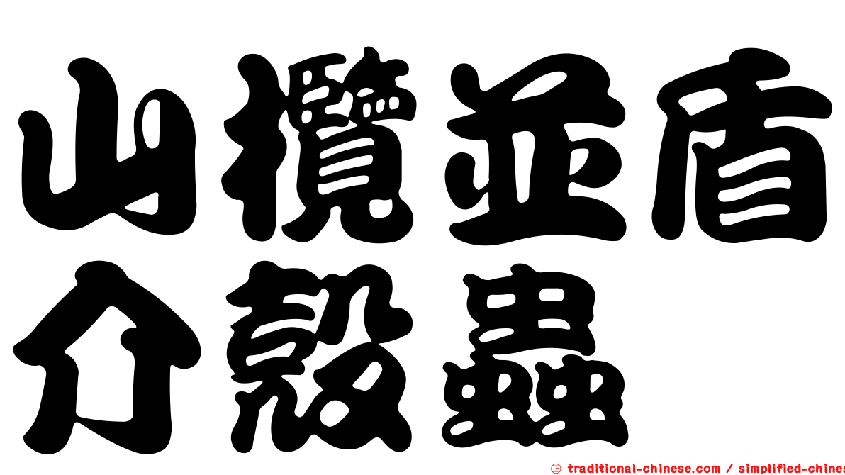 山欖並盾介殼蟲
