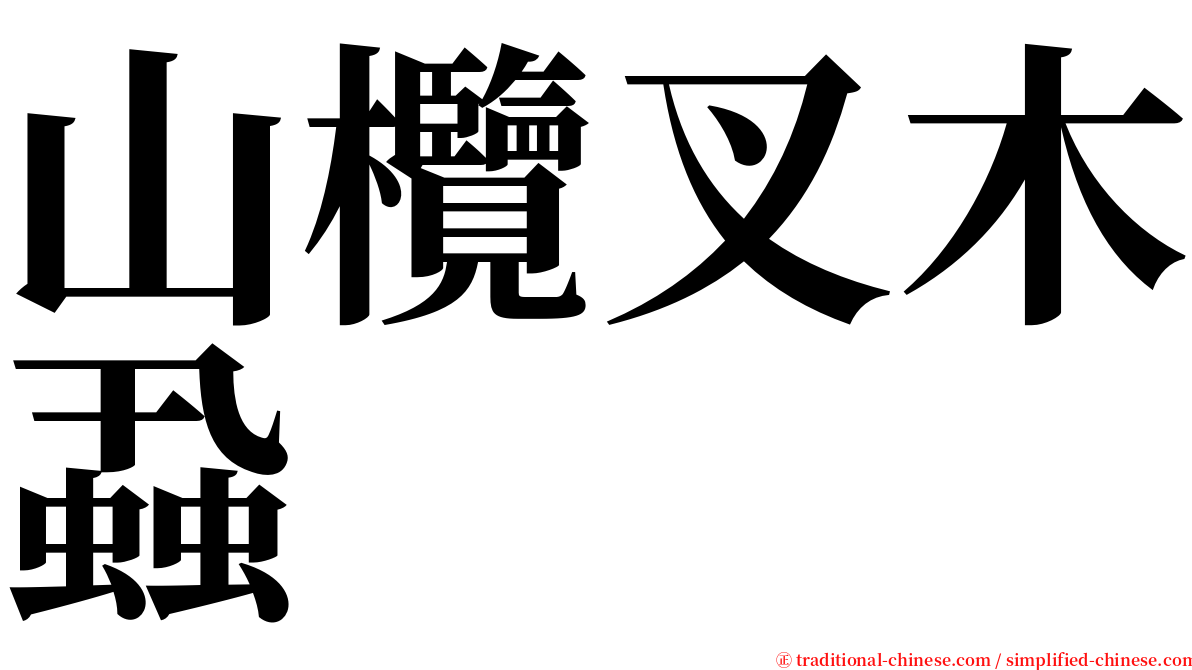 山欖叉木蝨 serif font
