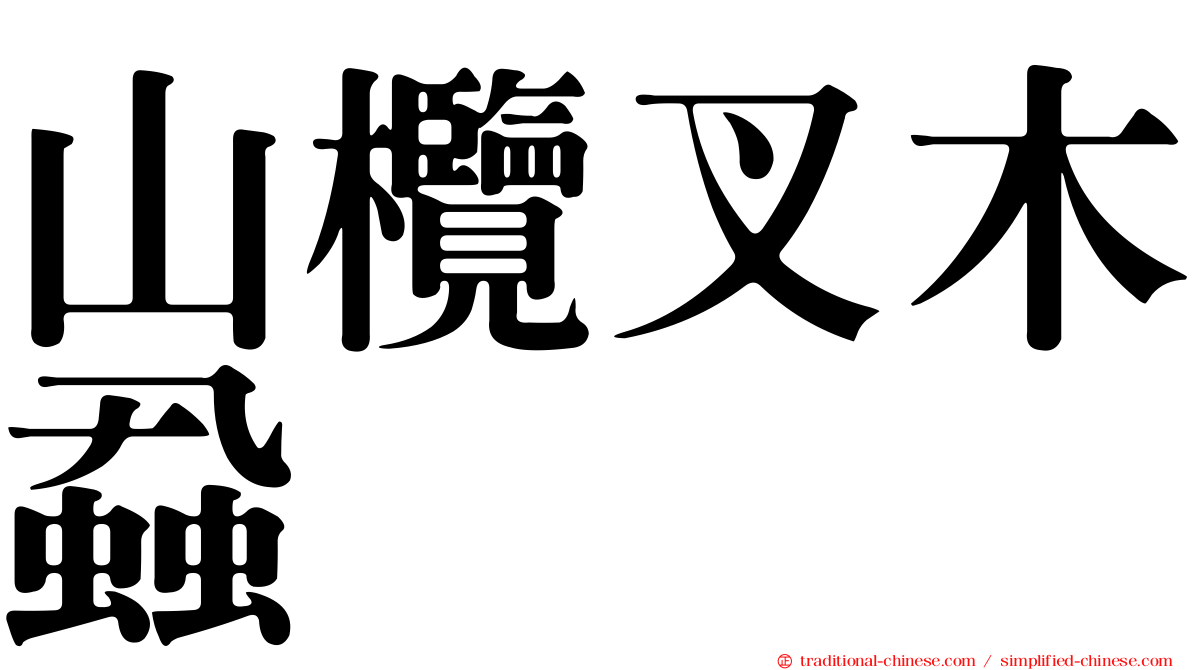 山欖叉木蝨