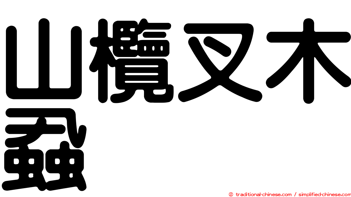 山欖叉木蝨