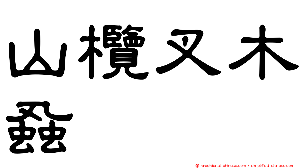 山欖叉木蝨