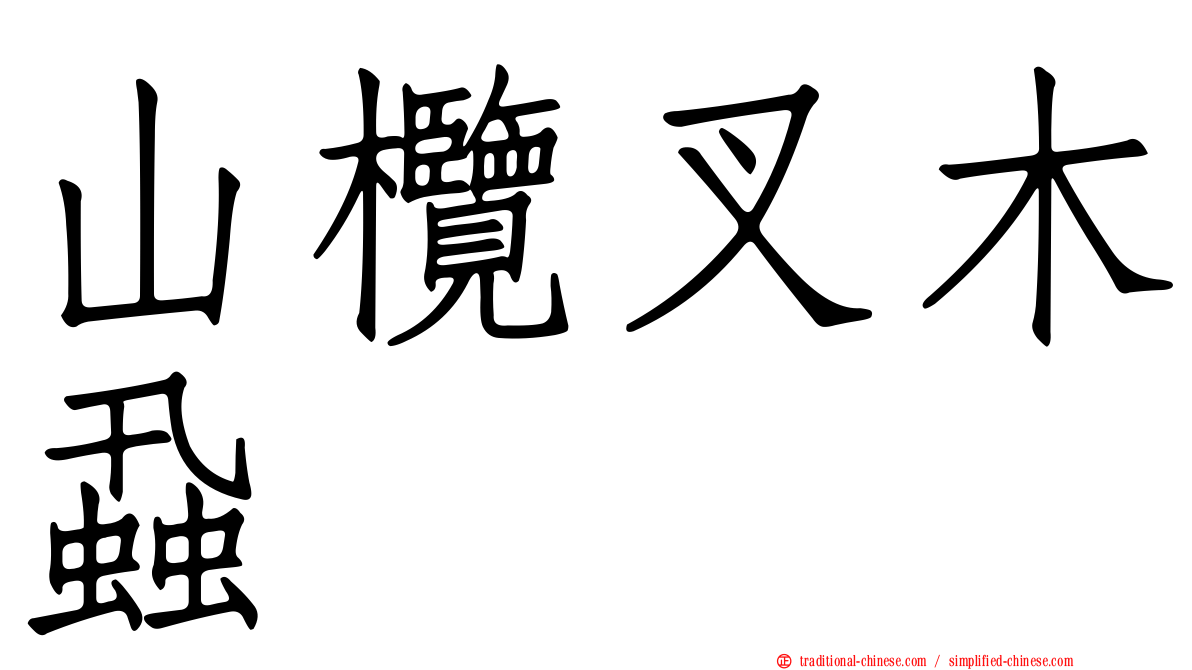 山欖叉木蝨