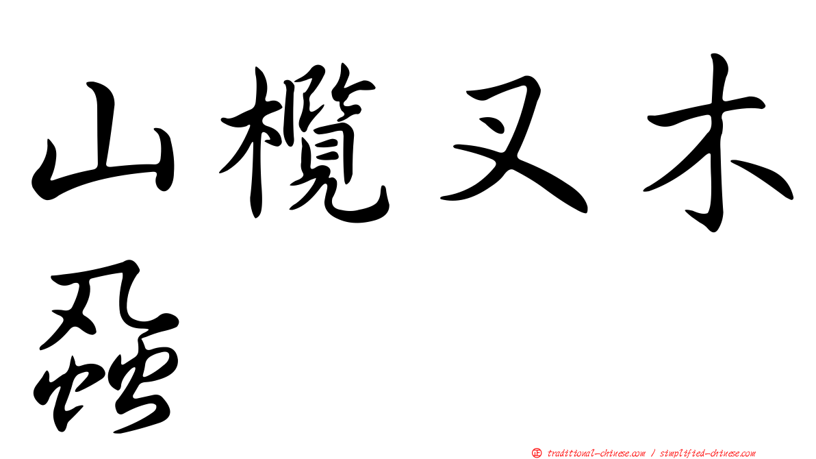 山欖叉木蝨