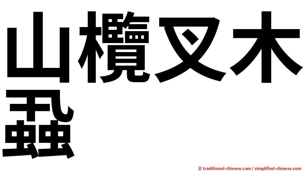 山欖叉木蝨