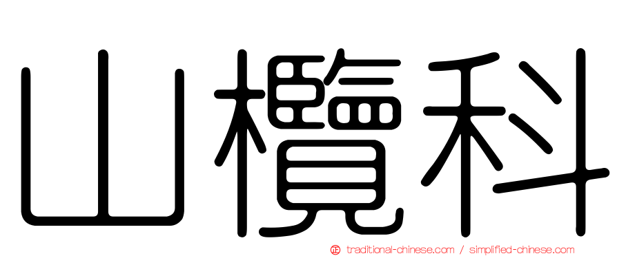 山欖科