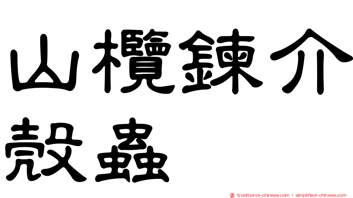 山欖鍊介殼蟲