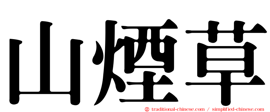 山煙草