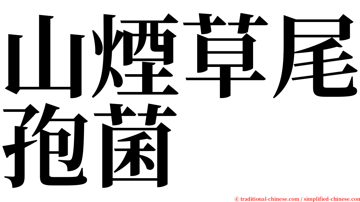 山煙草尾孢菌 serif font