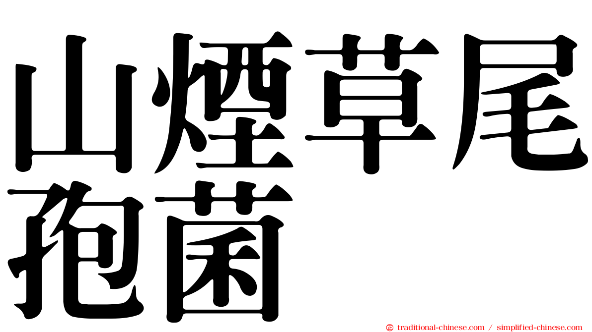 山煙草尾孢菌