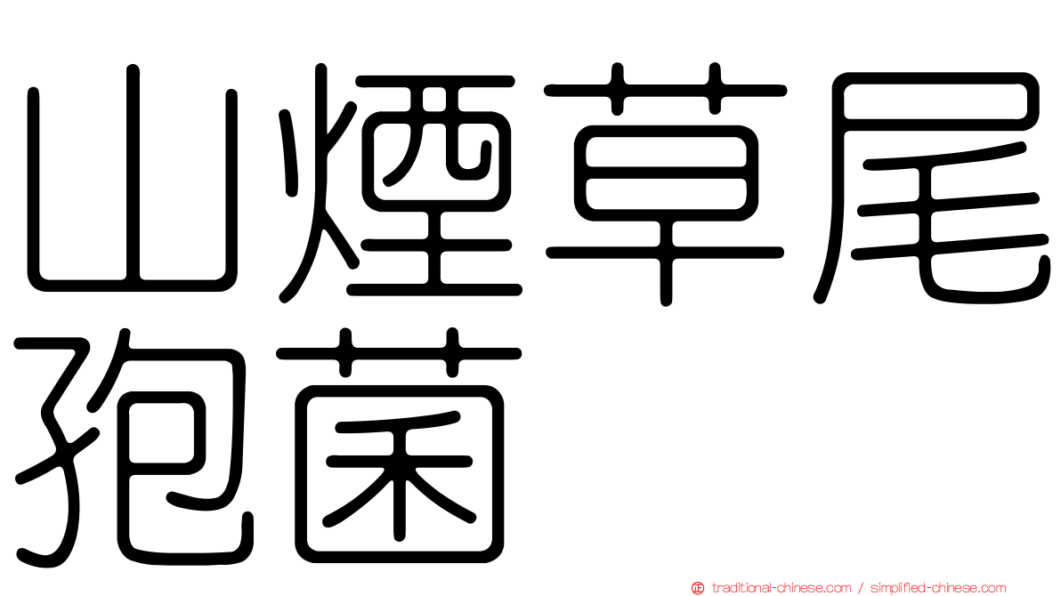 山煙草尾孢菌