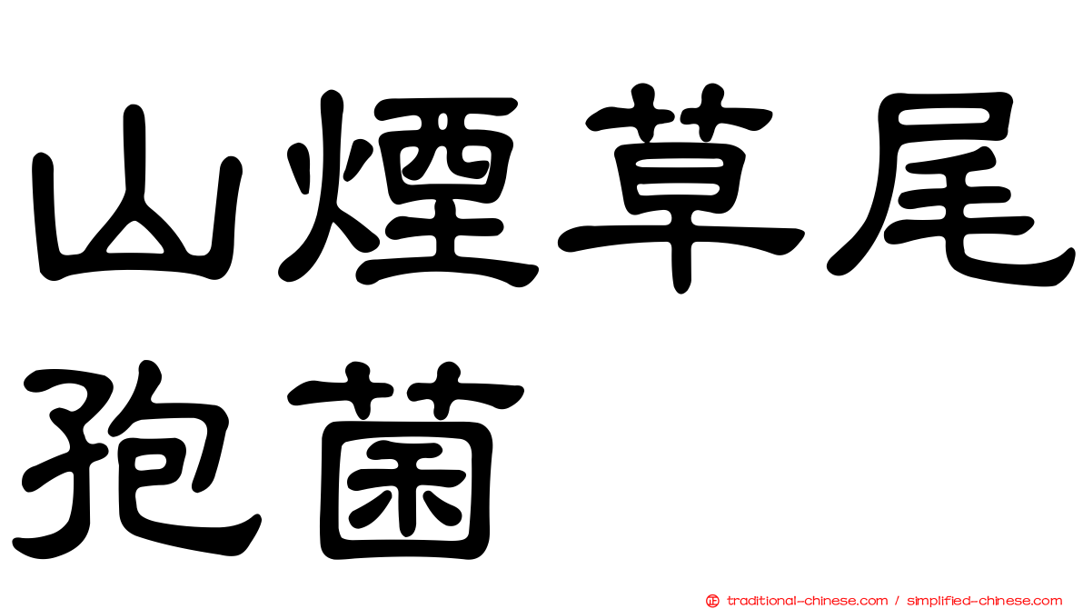 山煙草尾孢菌