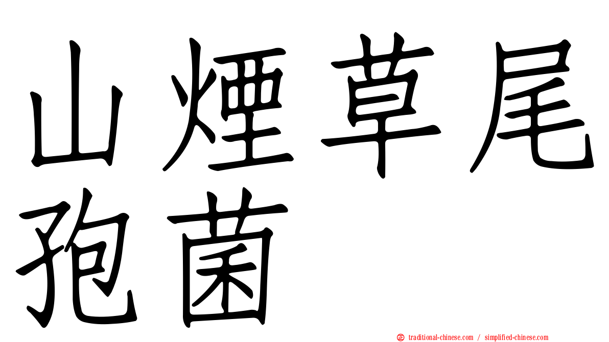 山煙草尾孢菌