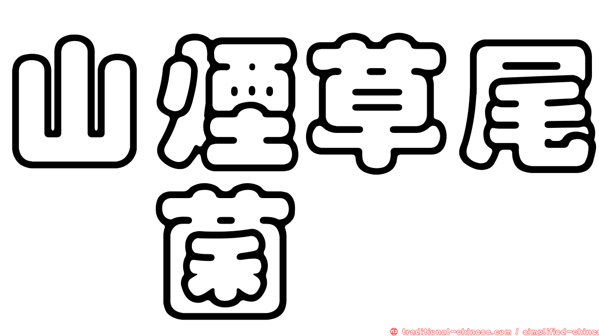 山煙草尾孢菌