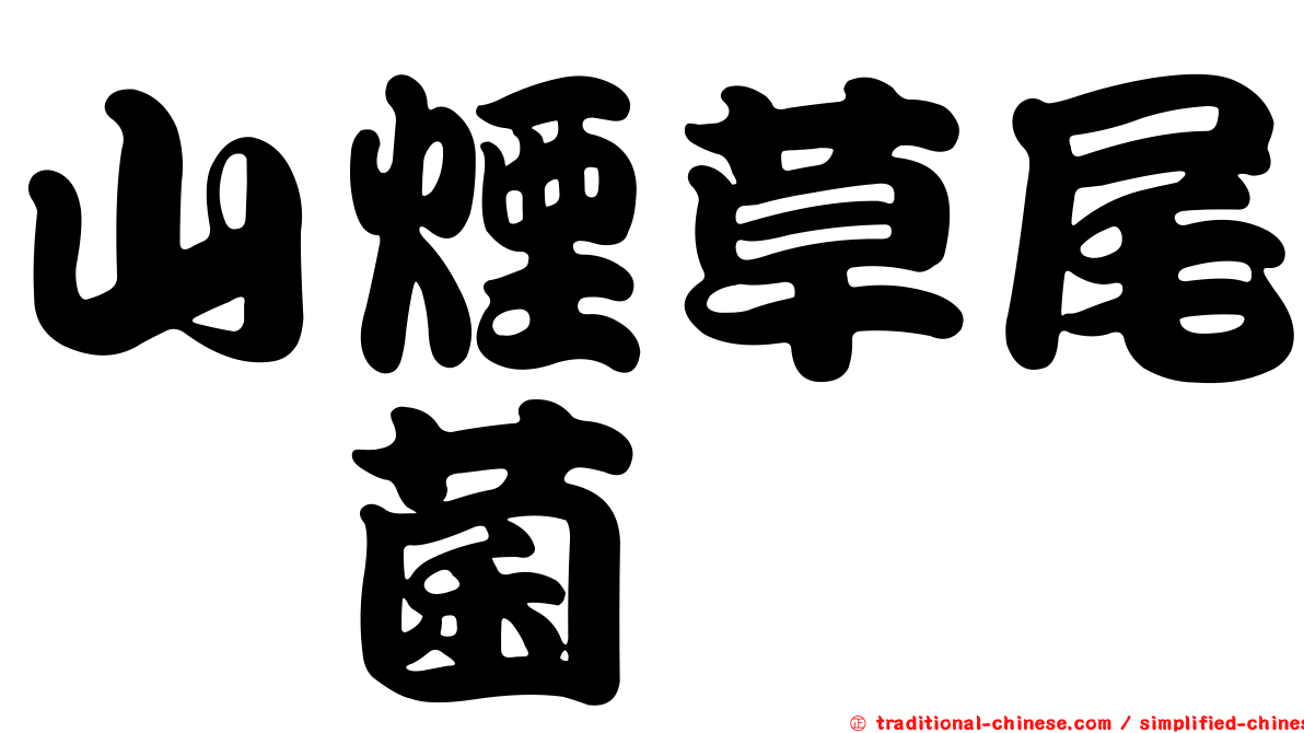 山煙草尾孢菌