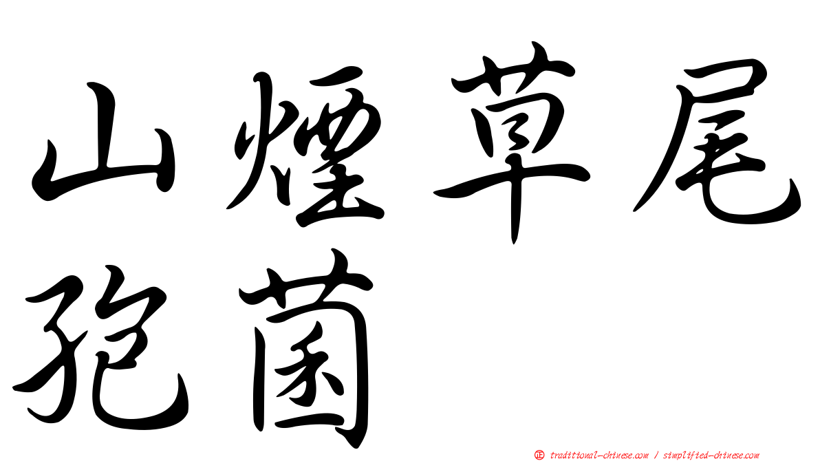 山煙草尾孢菌