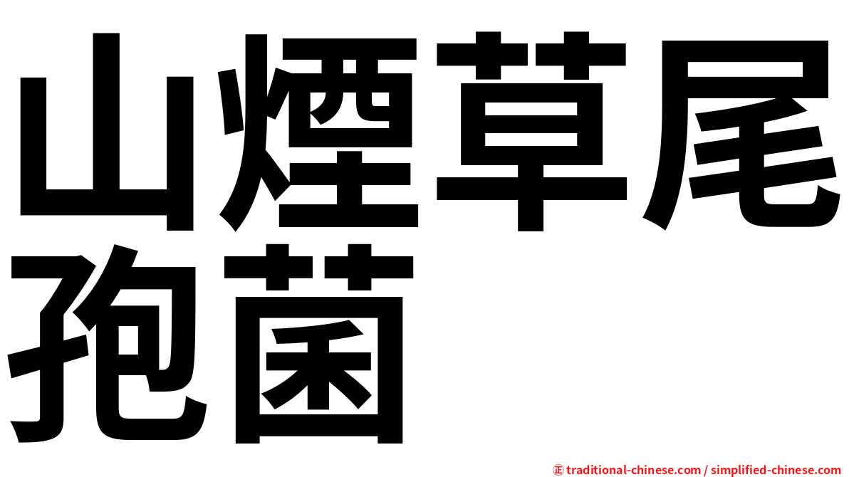 山煙草尾孢菌