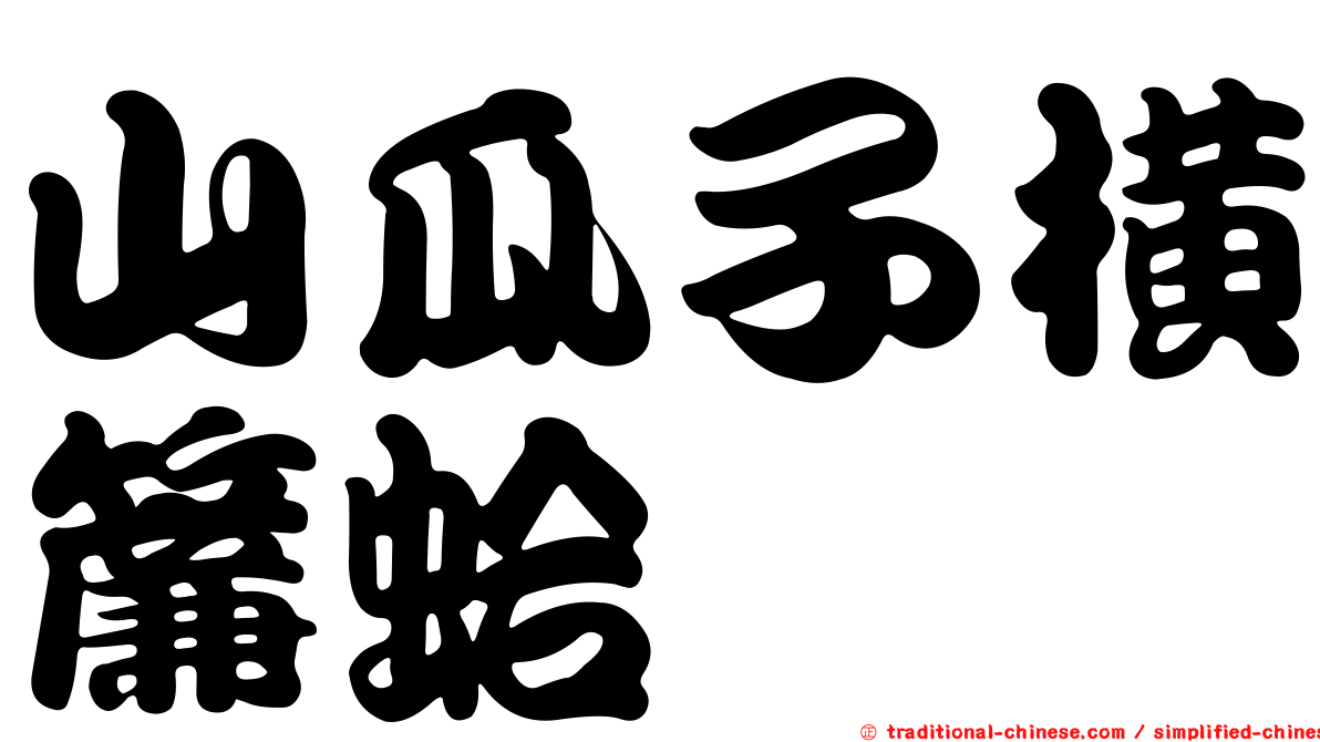 山瓜子橫簾蛤