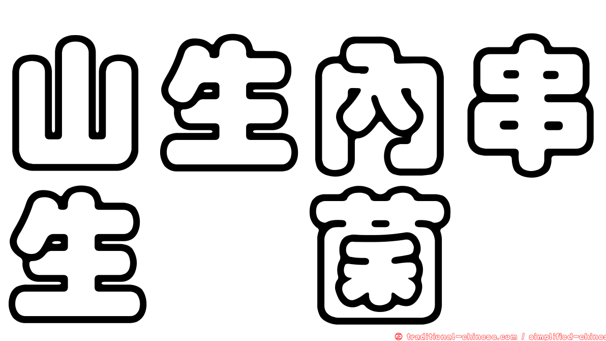 山生內串生孢菌