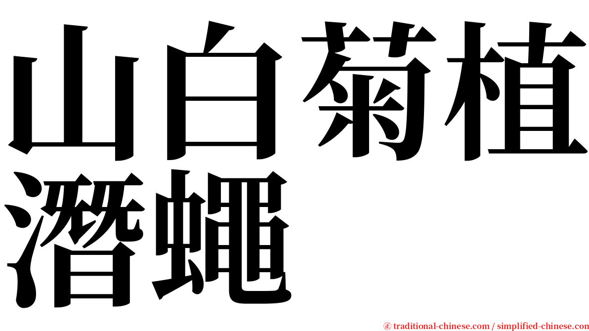 山白菊植潛蠅 serif font