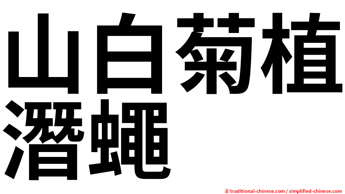 山白菊植潛蠅