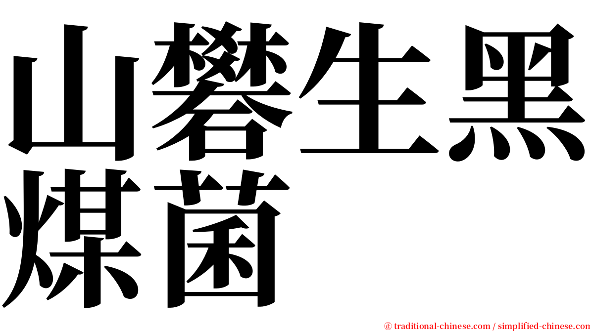 山礬生黑煤菌 serif font