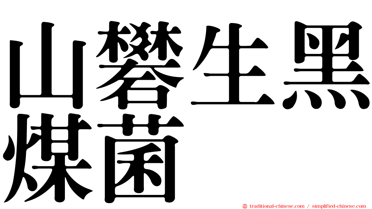 山礬生黑煤菌