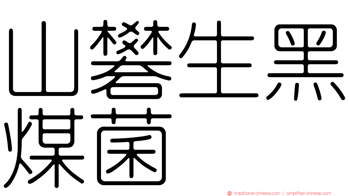 山礬生黑煤菌