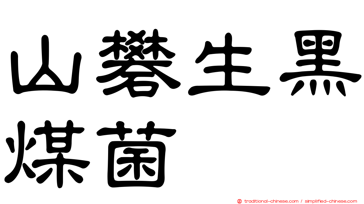 山礬生黑煤菌