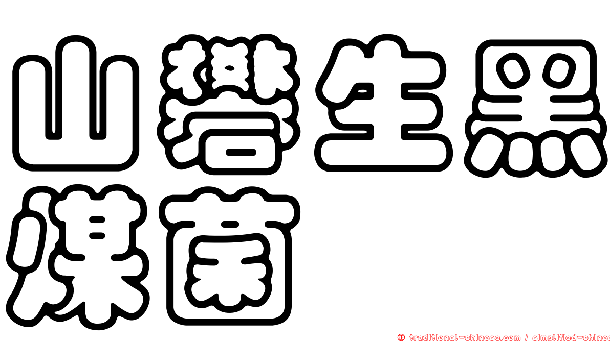 山礬生黑煤菌