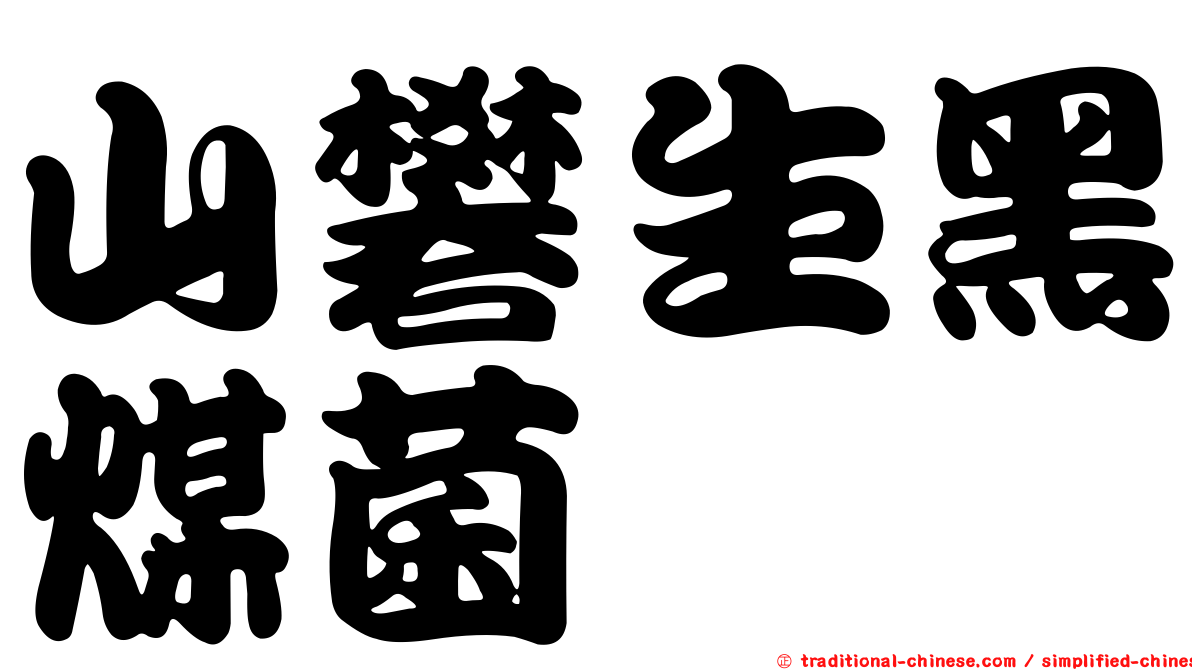山礬生黑煤菌