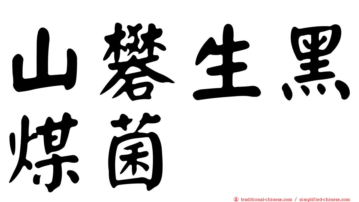山礬生黑煤菌